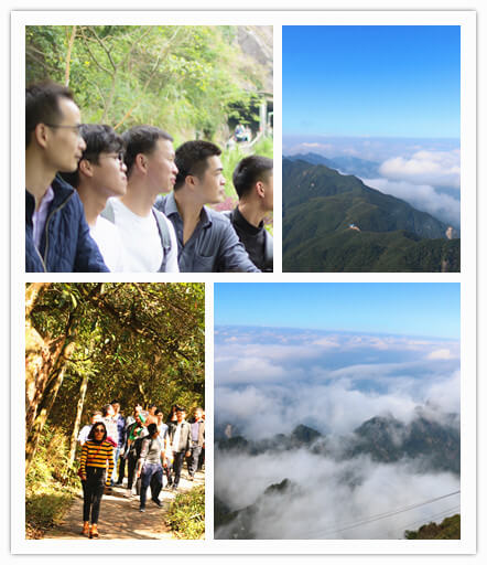 1541776540100444.jpg IMG_512347_副本.jpg